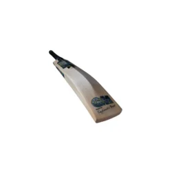 2024 Gunn And Moore Aion DXM 606 Cricket Bat -Cricket Gear Sales Store aion 3.4r rt medium 1 1 1