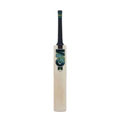 2024 Gunn And Moore Aion DXM Original Cricket Bat