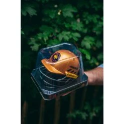 Birmingham Phoenix Mini Replica Masuri Helmet -Cricket Gear Sales Store birmingham phoenix 4