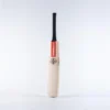 2024 Gray Nicolls Legend Cricket Bat
