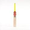 2024 Gray Nicolls Tempesta 5 Star Cricket Bat