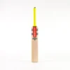 2024 Gray Nicolls Tempesta 4 Star Cricket Bat