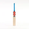 2024 Gray Nicolls Tempesta 1.1 300 Cricket Bat