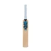 2024 Gunn And Moore Diamond DXM 404 Cricket Bat