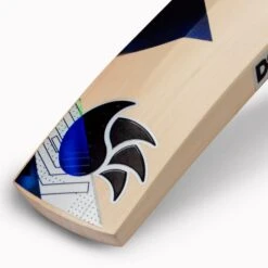2024 DSC Blak Series 3000 Cricket Bat -Cricket Gear Sales Store dsc cricket blak english willow 6