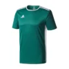 Adidas Entrada 18 Green Junior Training Jersey