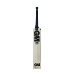 2024 Gunn And Moore Hypa DXM 404 Cricket Bat