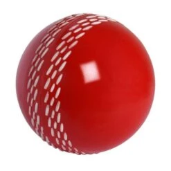 Gray Nicolls Velocity Ball