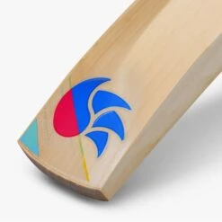 2023 DSC Intense Series 5000 Junior Cricket Bat -Cricket Gear Sales Store intense english willow cricket bat 5 1 1