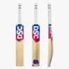 2024 DSC Intense Series 5000 Cricket Bat