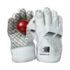 2023 Gunn And Moore Original Limited Edition Wicket Keeping Gloves