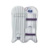 2024 Gunn And Moore Mana Wicket Keeping Pads