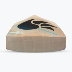 2024 DSC Xlite Series 2.0 Cricket Bat -Cricket Gear Sales Store xlite 2.0 english willow cricket bat 6